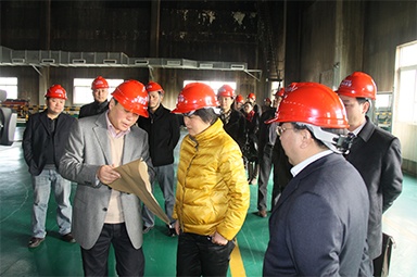 2012年1月31日，時(shí)任嘉興市委書記魯俊率領(lǐng)市發(fā)改委等市級部門負(fù)責(zé)人到公司調(diào)研